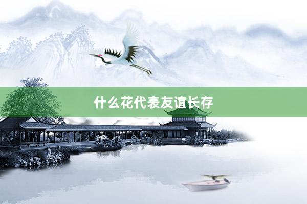 什么花代表友谊长存